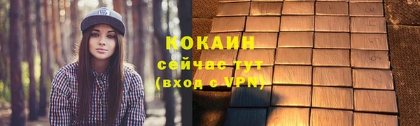 гашик Нея