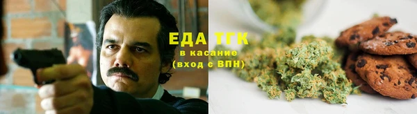 гашик Нея