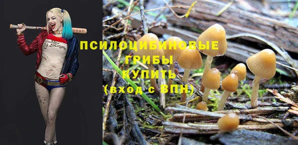 мет Нефтегорск