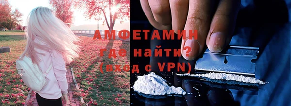 гашик Нея