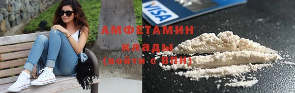 гашик Нея