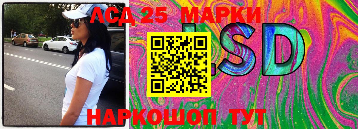 Галлюциногенные грибы Кулебаки