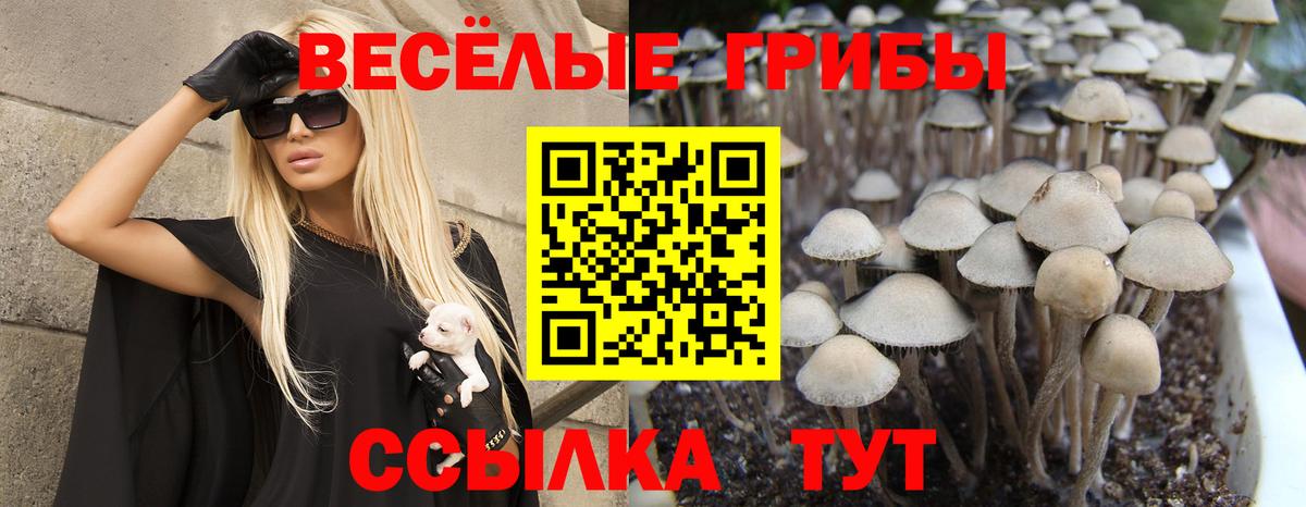 Галлюциногенные грибы GOLDEN TEACHER Кулебаки